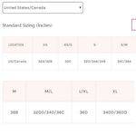 Free People NWT Longline Neo Bralette | Size: M | Gray Photo 5