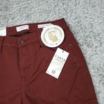 Curve Appeal Twill Minimalist Jegging Pants Stretch Dark Brown Women's Size 4 27 Photo 2