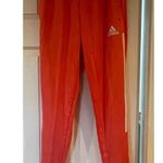 Adidas  Orange Women's PrimeGreen S Track Pants, A65 Photo 0