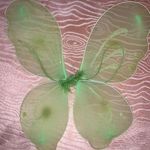 Fairy Costume Green Photo 0