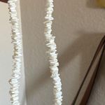 ୨୧ ･ﾟ✧ puka shell necklace nwot White Photo 2