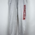 Under Armour  Women's Wisconsin All Day Fleece Joggers in Gray Size Small Photo 1