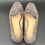 Coach  Palmer Taupe Gray Snakeskin Python Leather Penny Lug Soles Loafers Size 8B Photo 3
