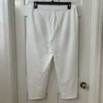 Eileen Fisher  LG Organic Cotton Cropped Wide Leg Terry Sweatpants White Cozy Photo 1