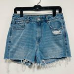 American Eagle Outfitters Light Blue mom jeans high rise Distressed Jean Shorts Photo 0