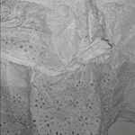 Wet Seal White Ruffled Skirt Photo 1