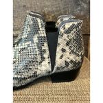 Seychelles  Waiting For You Snake Print Chelsea‎ Boot / Size 7.5 NEW Photo 4