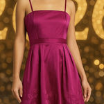 Lucy Paris Embroidered Satin Fit & Flare Dress in Hot Pink Size Small NWT Photo 0