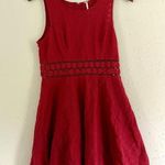 Free People 🦋  Pink Burgundy Fit & Flare Lace Cut Out Mini Dress Swiftie Taylor Photo 0