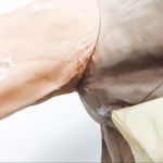 Vintage 1950’s Kay Photo 11