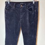 Ann Taylor Navy Velvet Skinny Pants Women Size 6 Photo 1