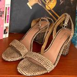 Gianni Bini Black polkadotted Heels Photo 0