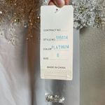 Cameron Blake Mother of the Bride Evening Formal Dress 115614 Platinum Sold Out Size 6 Photo 8