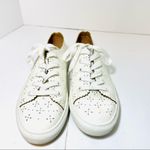 Loft  Off White Eyelet Sneakers Photo 2
