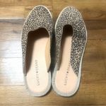 Lucky Brand NWOB Arvy Slip On Mule Leopard Print Eyelash 8 Photo 4
