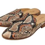 Madewell  The Frances Women's 7.5 Leather Spiced Cider Multi Loafer Mule Shoes Photo 0