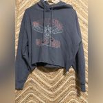 Hollister  Y2K Mystic Soul World Tour Cropped Gray Sweatshirt,Hoodie,Size M,Women Photo 0