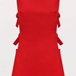 Peppermayo Cherish You Buckle Mini Dress Photo 2