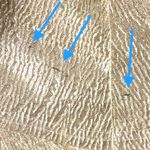 Lulus  All that Shimmers is Gold Light Gold Maxi Plunging Neck Dress Size XS Photo 11