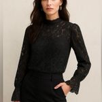 Black Lace Sheer Blouse XL Women’s Long Sleeve Embroidered Top Photo 0