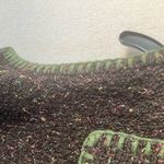 Christopher & Banks  Brown Multicolor heavyweight vest xl Photo 2