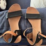 Zigi Soho Sanders Photo 0