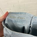 American Eagle  Blue Baggy Jogger Cotton Cargo Pants Size 4 Photo 4