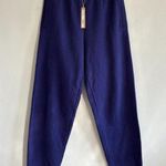 SKIMS Cotton Fleece Classic Jogger in Concord, Size Small Photo 3