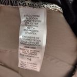 Democracy  AbTechnology Flax Taupe Ankle Skimmer Pants Size 14 Photo 5