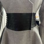 Venus  gray coat Photo 1