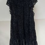 Loft Holiday Black Leopard Print Velvet Swing Dress Photo 2
