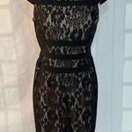 Adrianna Papell  black lace nude lined cap sleeve sheath dress 8 Photo 0