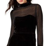 Mare Mare Women’s Hunt Velvet Sheer Polka Dot Blouse Black Size Medium M Photo 12