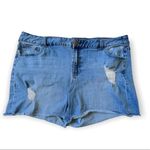 Lane Bryant  Weekend Raw Hem Denim Short Size 24 Photo 9