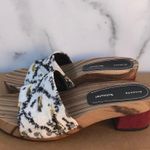 Proenza Schouler women’s Tapestry clog slide sandals size IT 36 US 6 Photo 4