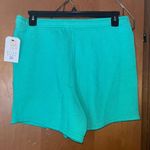Billabong Womens Nwt  Sweat Shorts Size Large Photo 2