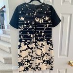 Anthropologie  4.Collective Black & Cream Mini Dress Stripe & Floral Print Photo 5