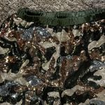 Hot Miami Styles Sequin Joggers  Photo 1