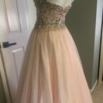 Terani Couture Glamour by  Photo 4