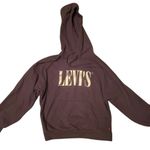 Levi's RELAXD GRAPHIC HOODIE Black, comfortable, cozy, warm Photo 3
