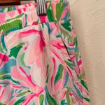 Lilly Pulitzer Lily Pulitzer Katia Croc my world shorts▪️size S Photo 14