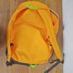 Patagonia Unisex Orange & Grey Day Backpack Photo 9