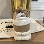 Ash NEW in BOX  Podium Suede Sneaker Tan EU37 Fits like US7.5 CUTE 🥰 Photo 3