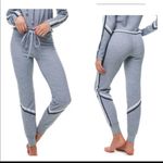 Wildfox Spectral Track Joggers Heather Photo 1