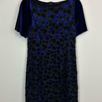 T Tahari | Blue and Black Velvet Floral Shimmery Dress Size Small Photo 1