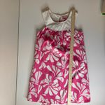 Lilly Pulitzer Adrianna Dress in Daiquiri Pin Wishing You Were Here Sz 0 Belted Photo 9