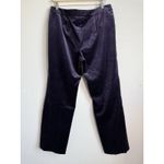 Carlisle  Women's Velour Purple Straight Leg Dress Pants Silk Lining Size 14 Photo 1