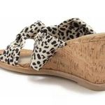 Dolce Vita Naji Cork Wedge Mule in Leopard Satin/Square Toe/Size 9 Brown Photo 1