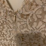 Kensie  Cream Ivory V Neck Lace Fit & Flare Wedding Guest Party Formal Dress 0 Photo 4