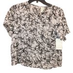 Nordstrom Frenchi Sheer Bow Short Sleeve Sheer Blouse Grey Small Photo 0